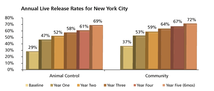 New York City Bar Chart